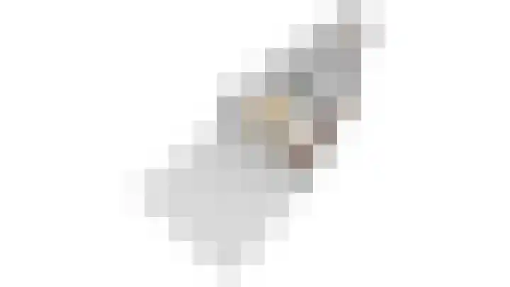 1e Daalsedijk 184 Utrecht thumbnail 33
