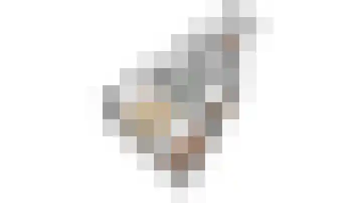 1e Daalsedijk 184 Utrecht thumbnail 35