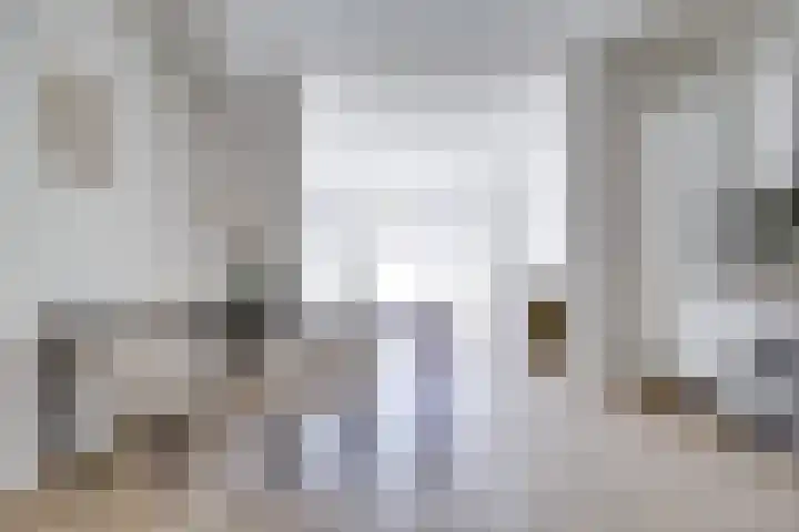 1e Daalsedijk 184 Utrecht thumbnail 6