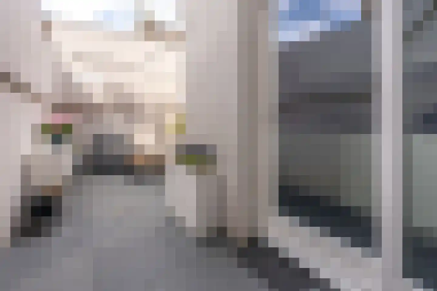 1e Daalsedijk 198 Utrecht thumbnail 12