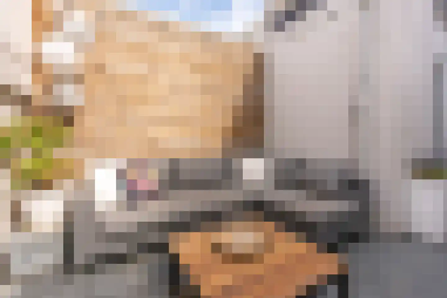 1e Daalsedijk 198 Utrecht thumbnail 13