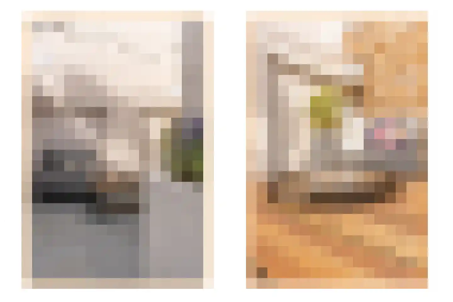 1e Daalsedijk 198 Utrecht thumbnail 14