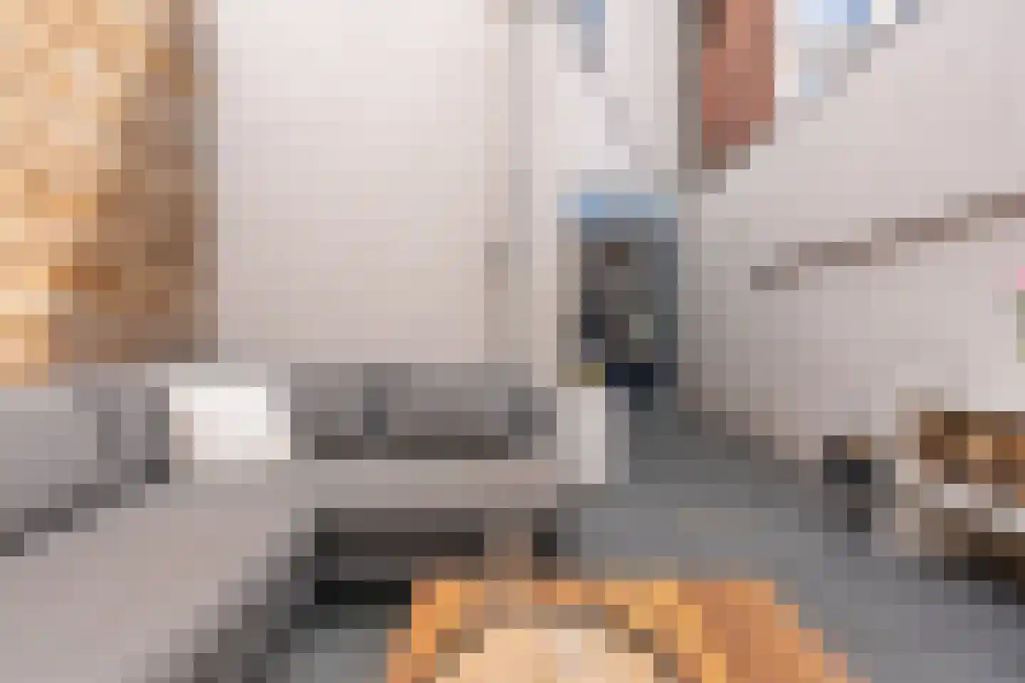 1e Daalsedijk 198 Utrecht thumbnail 15