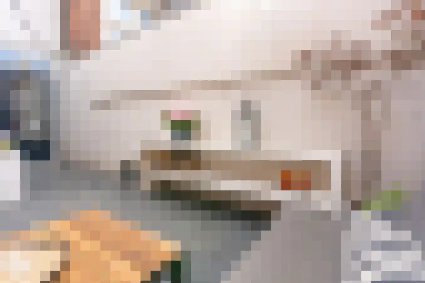 1e Daalsedijk 198 Utrecht thumbnail 16