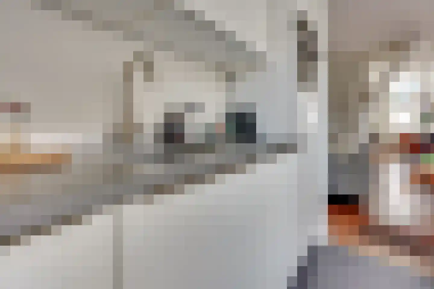 1e Daalsedijk 198 Utrecht thumbnail 19