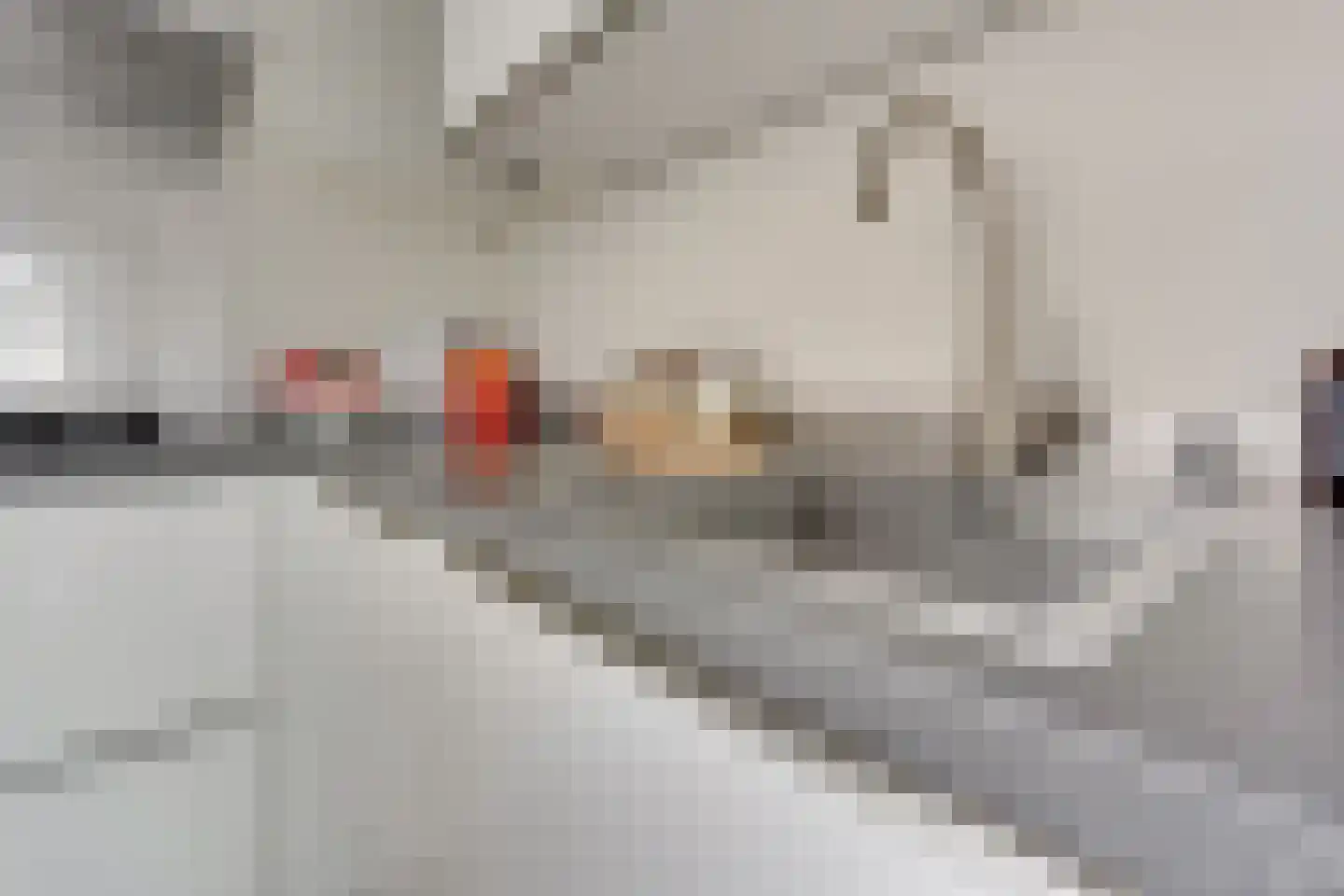 1e Daalsedijk 198 Utrecht thumbnail 21