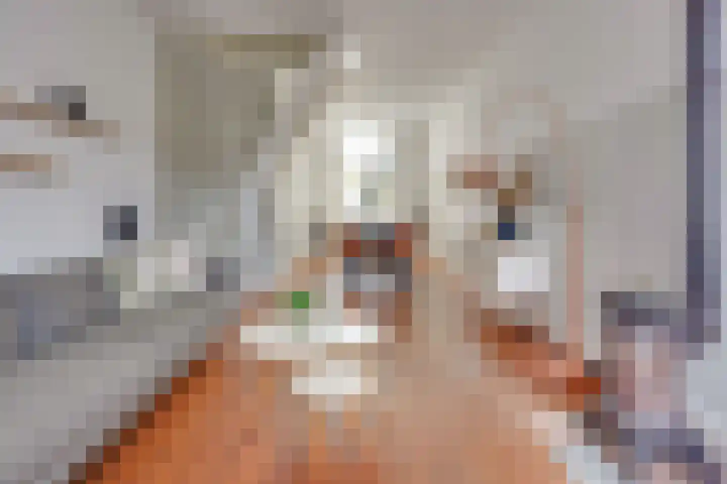 1e Daalsedijk 198 Utrecht thumbnail 22