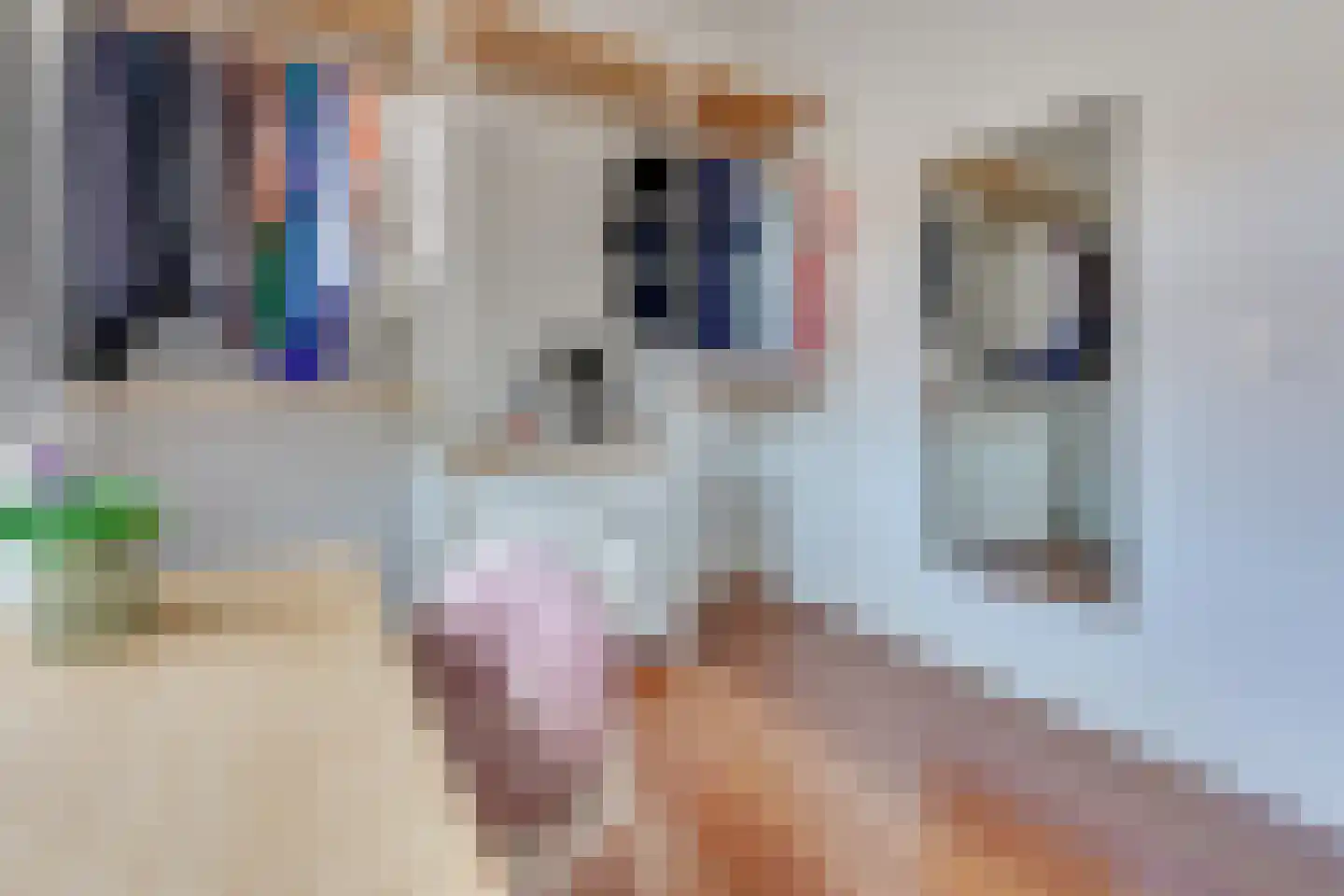 1e Daalsedijk 198 Utrecht thumbnail 32