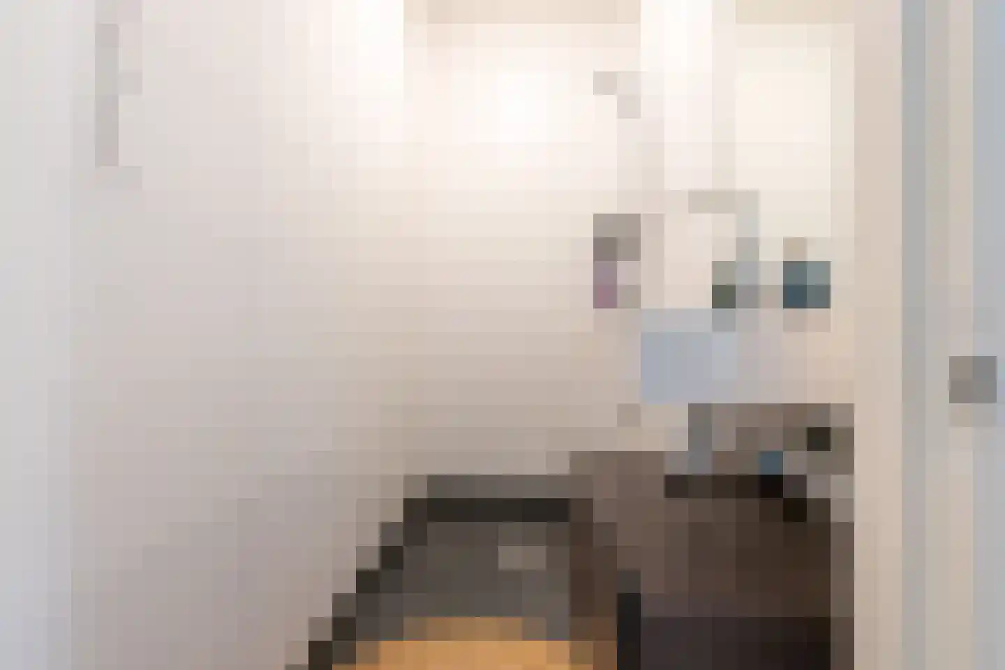 1e Daalsedijk 198 Utrecht thumbnail 34