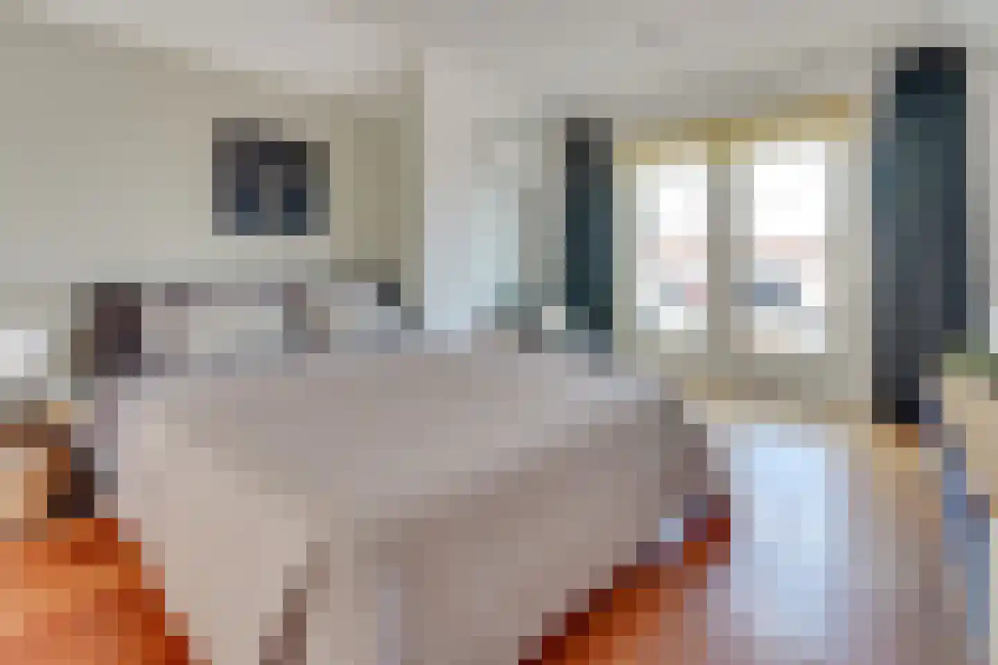 1e Daalsedijk 198 Utrecht thumbnail 38