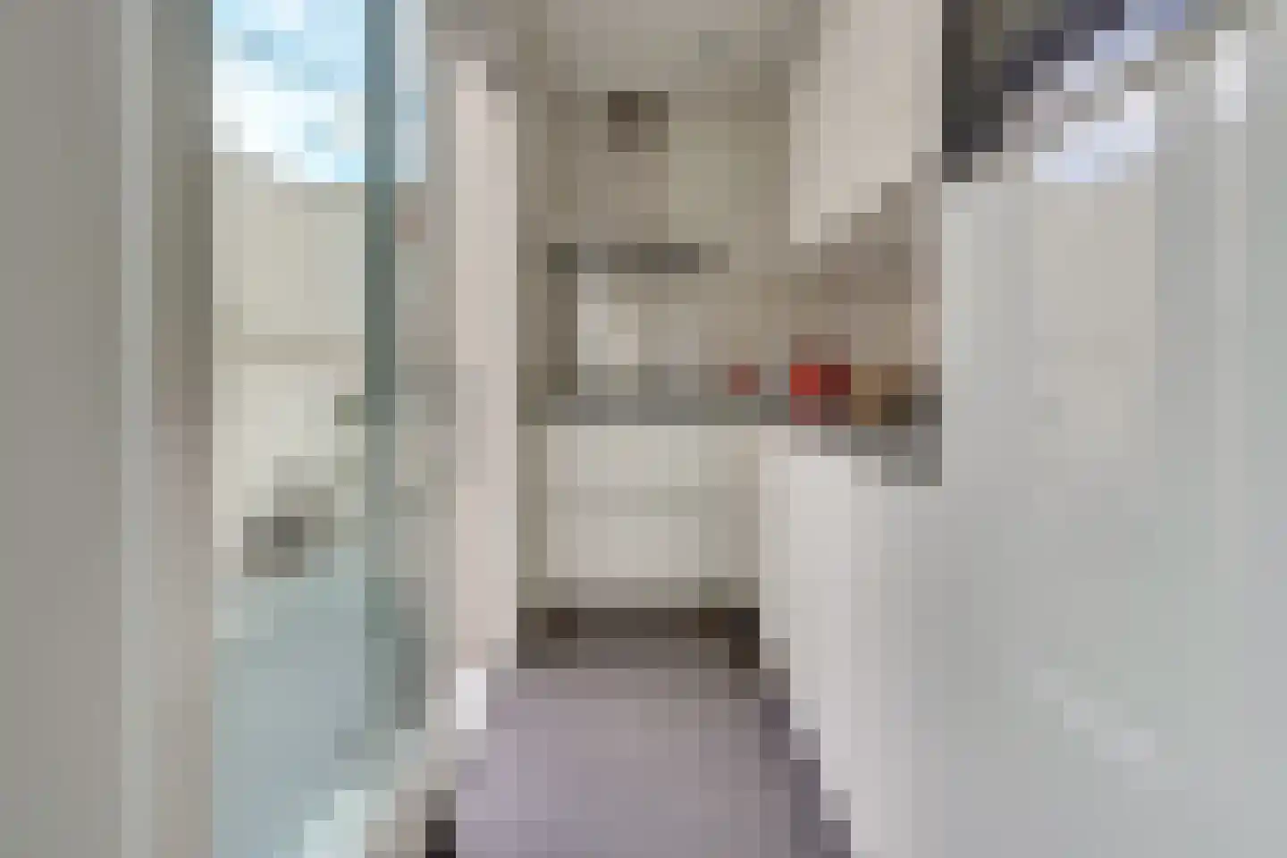 1e Daalsedijk 198 Utrecht thumbnail 4