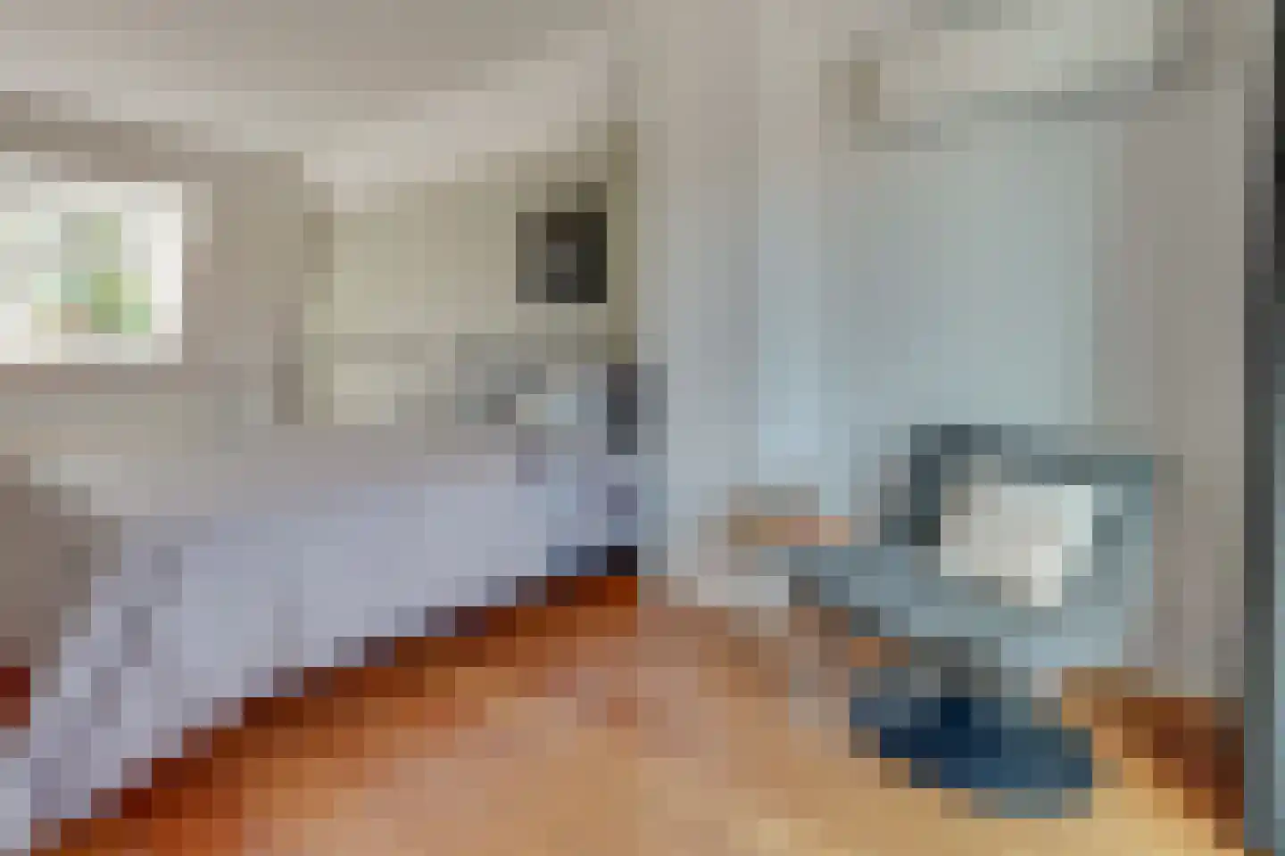1e Daalsedijk 198 Utrecht thumbnail 44