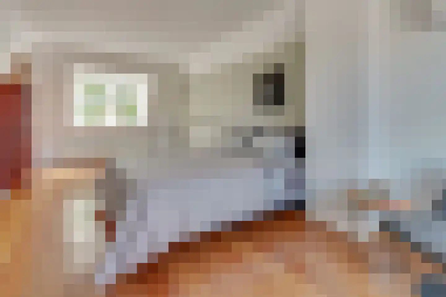 1e Daalsedijk 198 Utrecht thumbnail 46