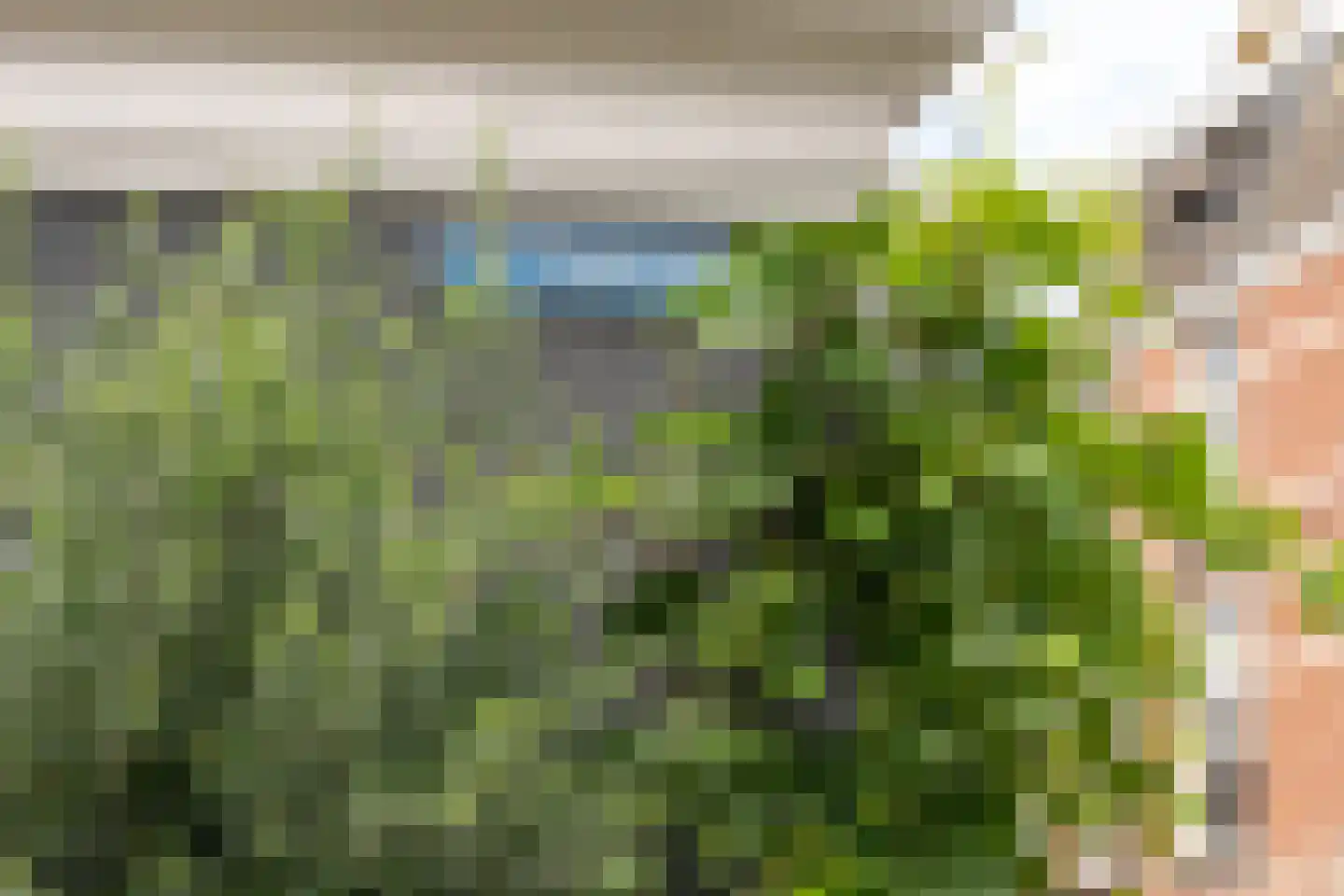 1e Daalsedijk 198 Utrecht thumbnail 50