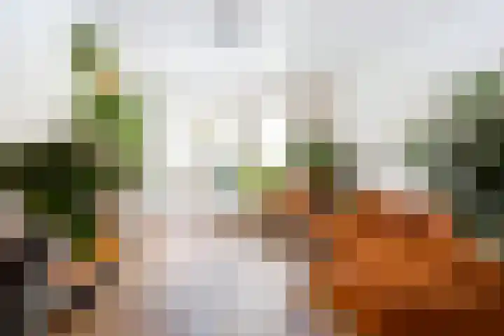 1e Daalsedijk 220 Utrecht thumbnail 10