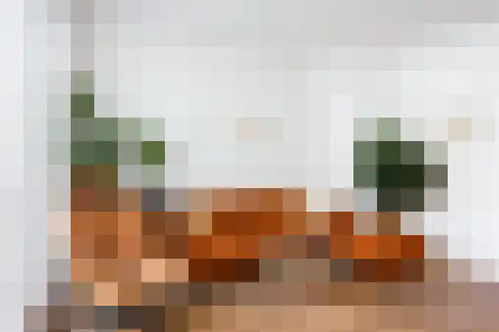 1e Daalsedijk 220 Utrecht thumbnail 11