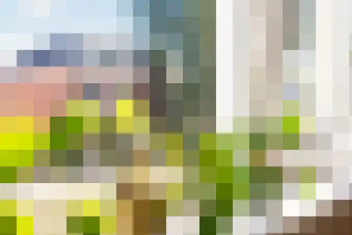 1e Daalsedijk 220 Utrecht thumbnail 14