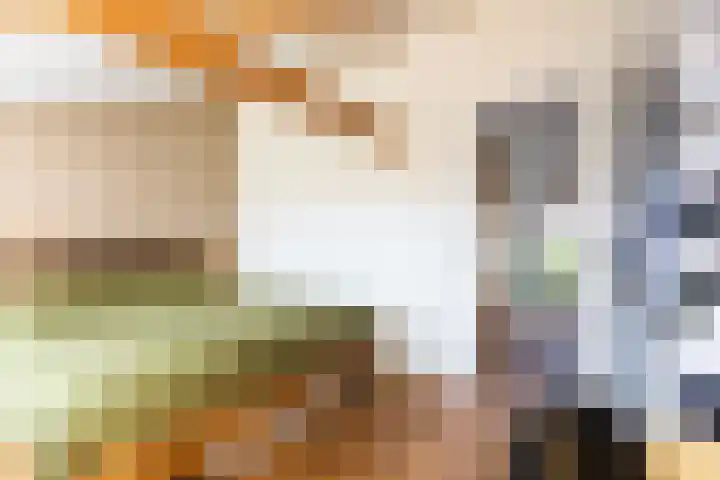 1e Daalsedijk 220 Utrecht thumbnail 16
