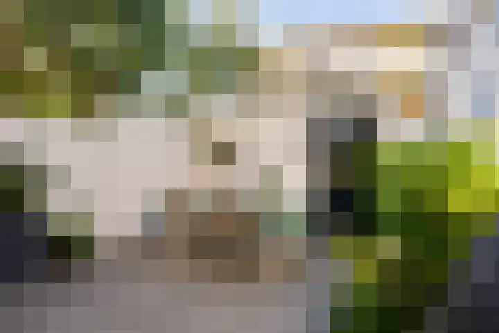 1e Daalsedijk 220 Utrecht thumbnail 20