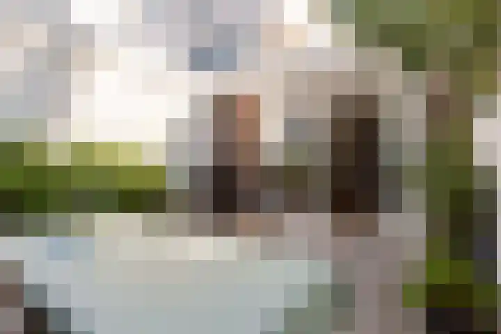 1e Daalsedijk 220 Utrecht thumbnail 21
