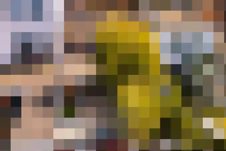 1e Daalsedijk 220 Utrecht thumbnail 22