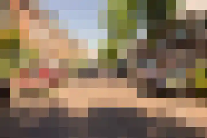 1e Daalsedijk 220 Utrecht thumbnail 24