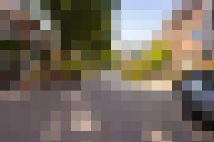 1e Daalsedijk 220 Utrecht thumbnail 25