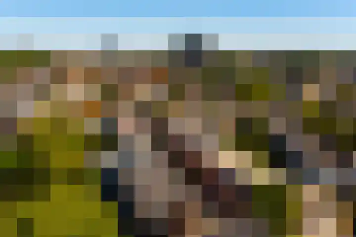 1e Daalsedijk 220 Utrecht thumbnail 26