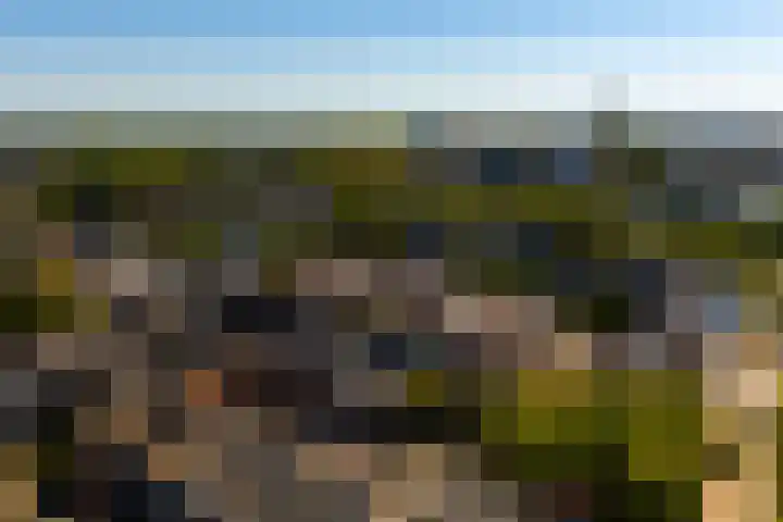 1e Daalsedijk 220 Utrecht thumbnail 27