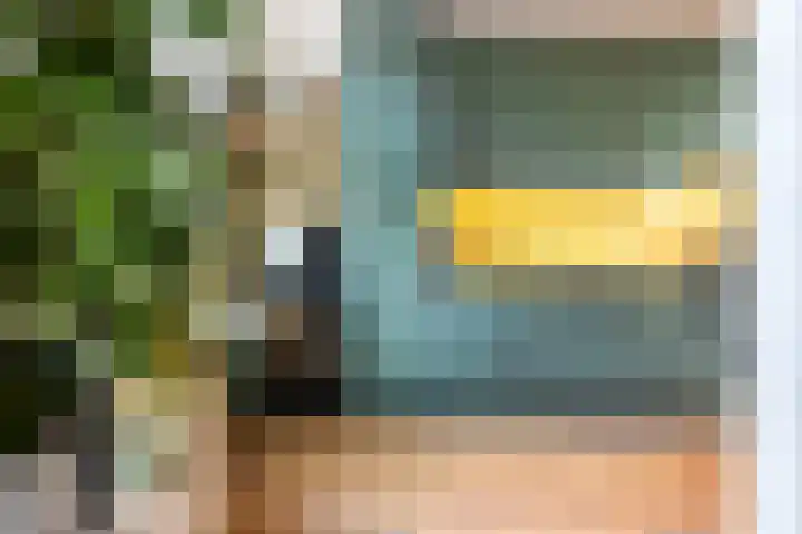 1e Daalsedijk 220 Utrecht thumbnail 4