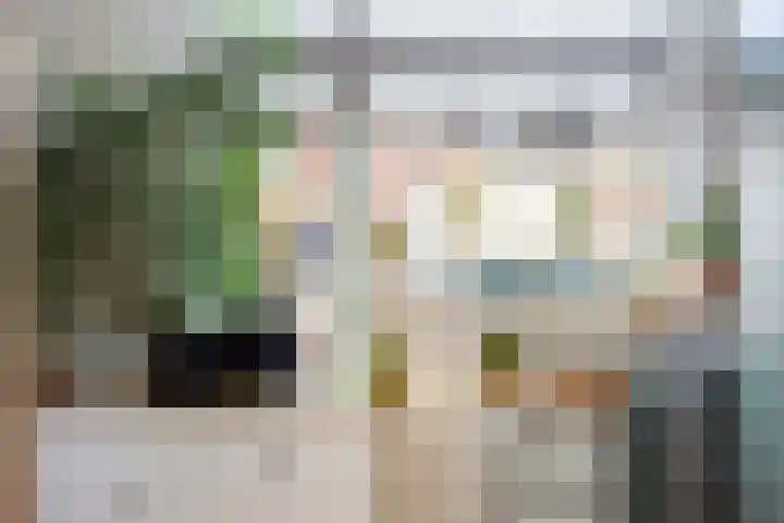 1e Daalsedijk 220 Utrecht thumbnail 6