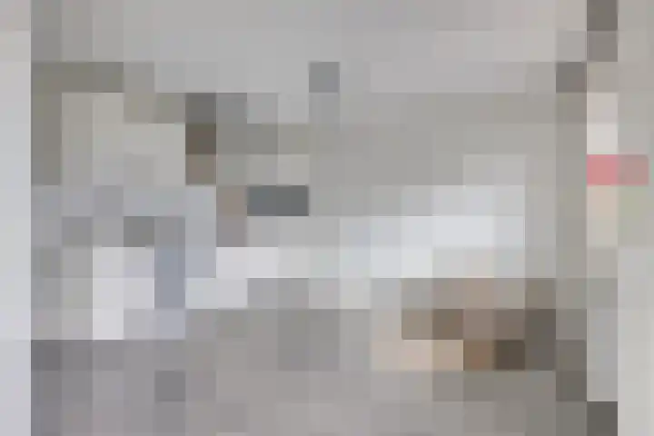 1e Daalsedijk 266 A Utrecht thumbnail 10