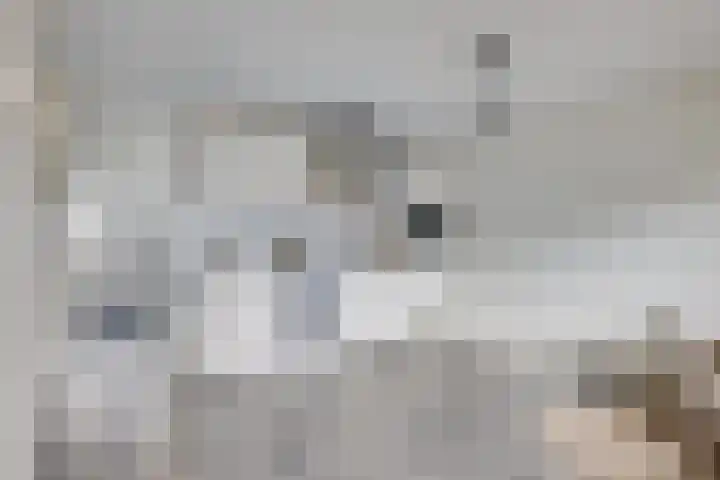 1e Daalsedijk 266 A Utrecht thumbnail 11