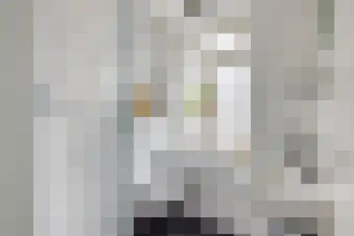 1e Daalsedijk 266 A Utrecht thumbnail 16