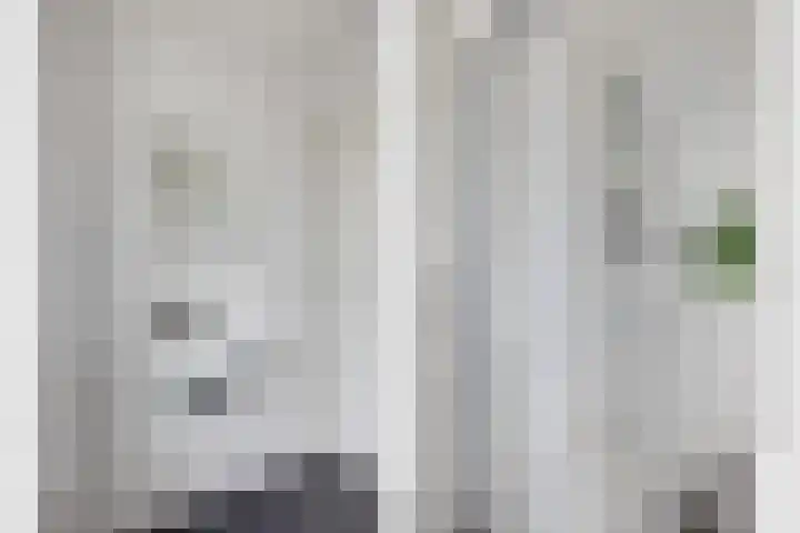 1e Daalsedijk 266 A Utrecht thumbnail 17