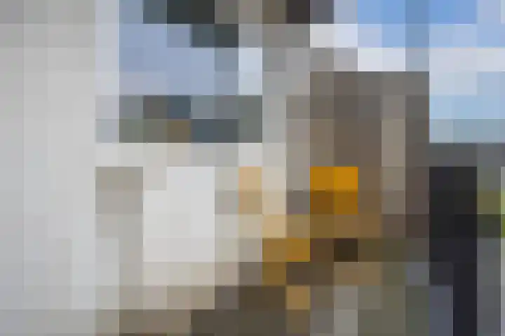 1e Daalsedijk 266 A Utrecht thumbnail 19