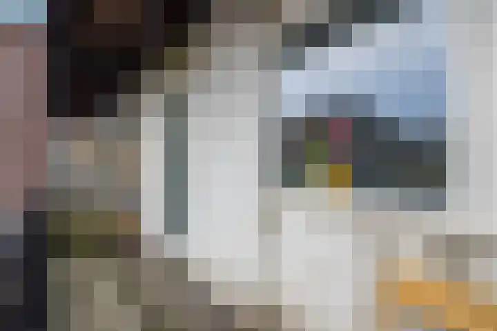 1e Daalsedijk 266 A Utrecht thumbnail 20