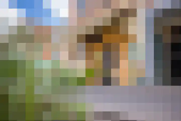 1e Daalsedijk 266 A Utrecht thumbnail 26