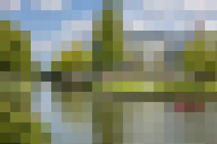 1e Daalsedijk 266 A Utrecht thumbnail 28