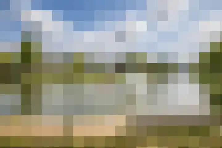 1e Daalsedijk 266 A Utrecht thumbnail 29