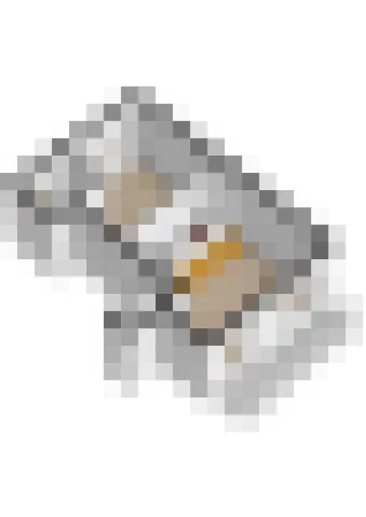 1e Daalsedijk 266 A Utrecht thumbnail 32