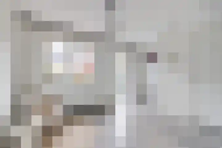 1e Daalsedijk 266 A Utrecht thumbnail 4