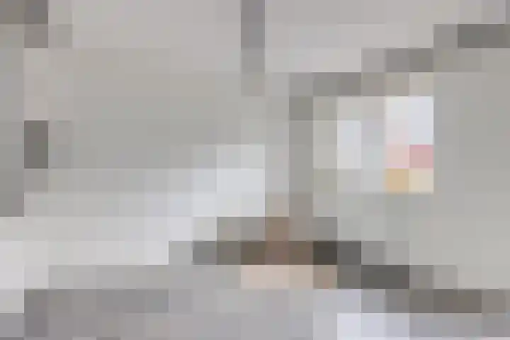 1e Daalsedijk 266 A Utrecht thumbnail 5