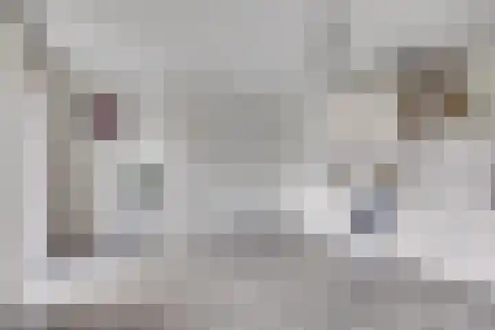 1e Daalsedijk 266 A Utrecht thumbnail 6