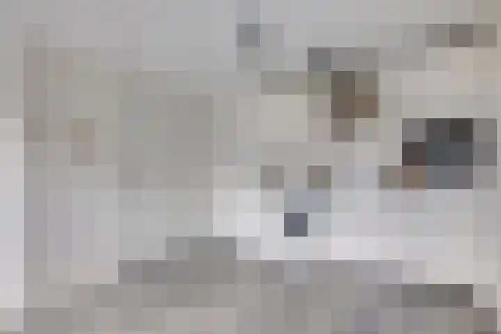 1e Daalsedijk 266 A Utrecht thumbnail 7