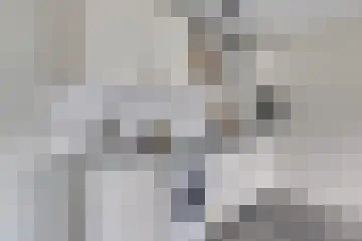1e Daalsedijk 266 A Utrecht thumbnail 8