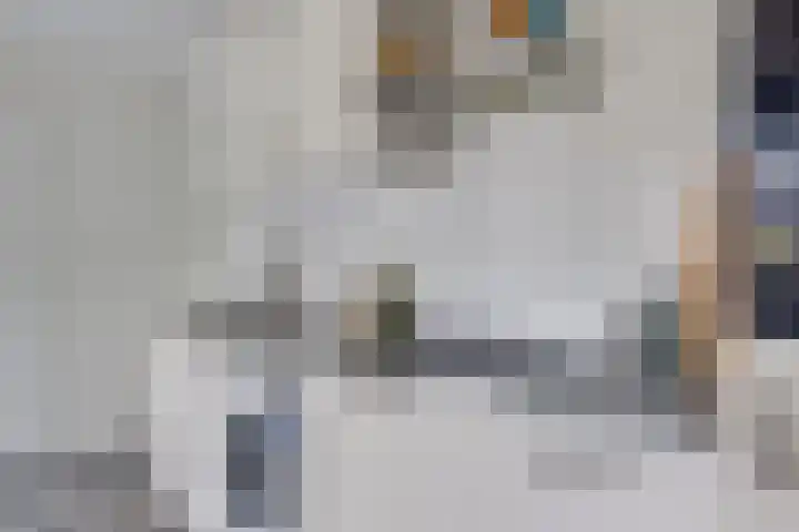 1e Daalsedijk 266 A Utrecht thumbnail 9