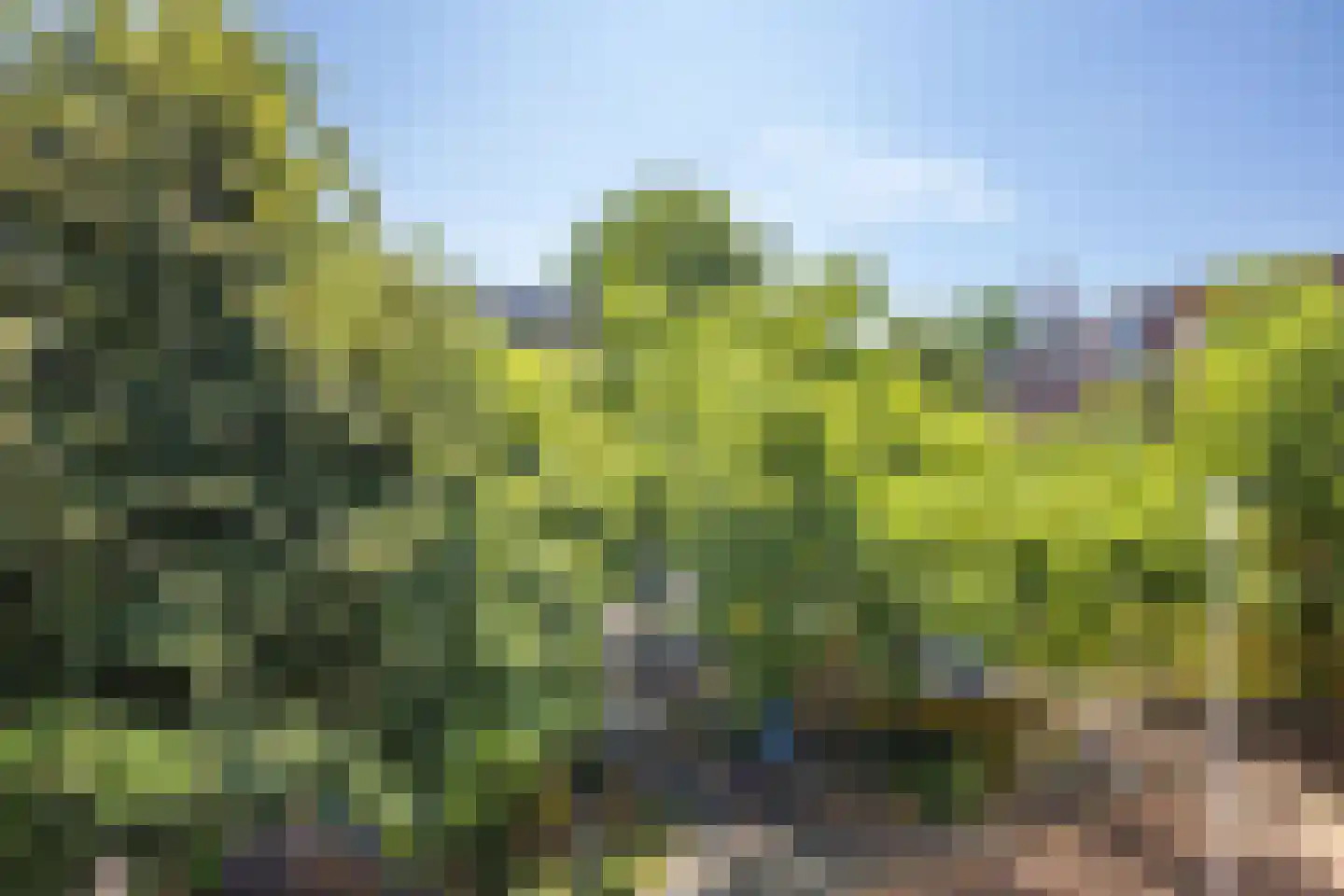 1e Daalsedijk 300 D Utrecht thumbnail 23