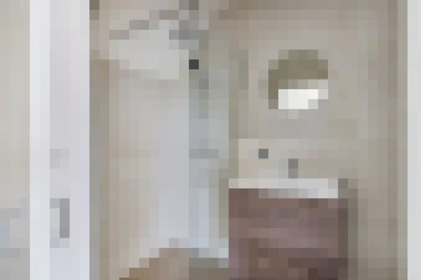 1e Daalsedijk 300 J Utrecht thumbnail 10