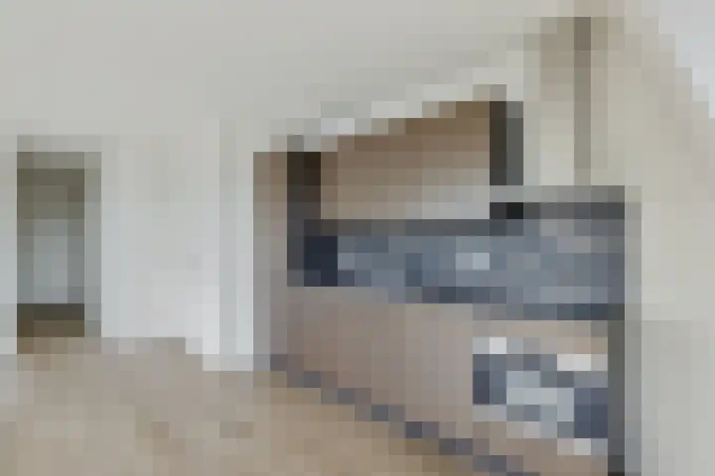 1e Daalsedijk 300 J Utrecht thumbnail 8